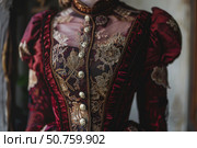 Elegant woman wearing a victorian dress with golden embroidery and puffy sleeves. Стоковое AI-изображение, AI-художник Иван Рябоконь / Фотобанк Лори