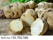 Freshly harvested sugar beets resting on rustic burlap. Стоковое AI-изображение, AI-художник Иван Рябоконь / Фотобанк Лори