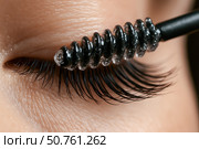 Eyelash brush applying clear mascara to long thick lashes, close up showing beautiful eye, smooth skin, professional makeup, detailed beauty care, cosmetic product, glamour style. Стоковое AI-изображение, AI-художник Павел Муравьев / Фотобанк Лори