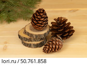 Christmas decorations, spruce cones and green spruce branches. Стоковое фото, фотограф Оксана Шведкова / Фотобанк Лори