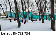 Зимний дворик с развешенным бельём среди деревьев. Москва (2024 год). Редакционное фото, фотограф Мария Сергеева / Фотобанк Лори