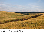 Осенний пейзаж на закате в Московской области (2010 год). Стоковое фото, фотограф Мария Деркунская / Фотобанк Лори