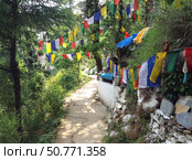 Circumambulation path with colorful buddhist prayer flags around the Dalai Lama Temple in McLeod Ganj, Dharamsala, India (2015 год). Стоковое фото, фотограф Лариса Потехина / Фотобанк Лори