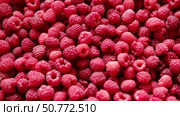 Sweet raspberry background. Full frame of fresh raspberries. Red ripe berry photo wallpaper closeup. Juicy berries. Vegetarian, vegan raw food. Organic bio product. From farm to table. Fruit pattern. Стоковое видео, видеограф Марина Демидюк / Фотобанк Лори