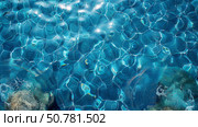 Clear shimmering water with natural ripple patterns, ideal for backgrounds, wellness promotions, or summer-themed graphic designs. Стоковое AI-изображение, AI-художник Александра Троицкая / Фотобанк Лори