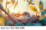 Golden Hour Nestling: A Tiny Bird in its Nest at Sunrise. Стоковое AI-изображение, AI-художник Данила Большаков / Фотобанк Лори