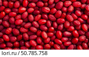 Vibrant Abundance of Ripe Red Cornelian Cherries: A close-up top-down view. Food and health concept for print. Стоковое AI-изображение, AI-художник Данила Большаков / Фотобанк Лори