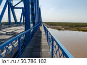 Bridge spans the Amu Darya River near Kipchak village in Karakalpakstan, Uzbekistan. Стоковое фото, фотограф Михаил Пряхин / Фотобанк Лори