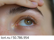 Beautician touching perfect eyebrow after treatment in beauty salon. Стоковое AI-изображение, AI-художник Иван Рябоконь / Фотобанк Лори