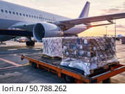 Air cargo waiting for loading to airplane at sunset. Стоковое AI-изображение, AI-художник Иван Рябоконь / Фотобанк Лори