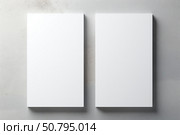 Minimalist design with two blank canvases on wall. Стоковое AI-изображение, AI-художник Иван Рябоконь / Фотобанк Лори