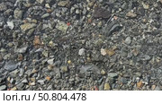 Clear water flows gently over a rocky riverbed, revealing smooth stones and pebbles beneath. Стоковое видео, видеограф Анастасия / Фотобанк Лори