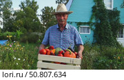 A farmer with a box of vegetables and fruits walks through the plot. Стоковое видео, видеограф Igor Skripachev / Фотобанк Лори