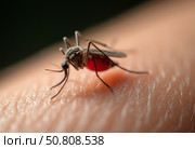 Комар напившийся крови. Макросъемка. A mosquito drunk on blood. Macro photography. Стоковое AI-изображение, AI-художник Гер Олег / Фотобанк Лори