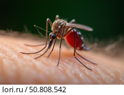 Комар напившийся крови. Макросъемка. A mosquito drunk on blood. Macro photography. Стоковое AI-изображение, AI-художник Гер Олег / Фотобанк Лори