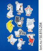 Novosibirsk, Russia - May 30, 2025: Vinyl stickers featuring humorous and viral goose memes in a fun and playful style. These designs showcase funny goose illustrations, meme captions, exaggerated expressions. Редакционное фото, фотограф Виталий Сова / Фотобанк Лори