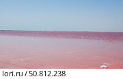 Vast expanse of vibrant pink water under a clear blue sky, with gentle waves creating ripples, showcasing the unique beauty of this surreal natural landscape. Sasyk-Sivash Lake. Стоковое видео, видеограф Ирина Ручушкина / Фотобанк Лори