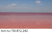 Vast expanse of vibrant pink water under a clear blue sky, with gentle waves creating ripples, showcasing the unique beauty of this surreal natural landscape. Sasyk-Sivash Lake. Стоковое видео, видеограф Ирина Ручушкина / Фотобанк Лори