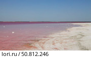 Vast expanse of vibrant pink water under a clear blue sky, with gentle waves creating ripples, showcasing the unique beauty of this surreal natural landscape. Sasyk-Sivash Lake. Стоковое видео, видеограф Ирина Ручушкина / Фотобанк Лори