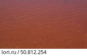 Calm surface of a vibrant red lake, showcasing rippling water patterns and contrasting sandy shore, creating a serene and captivating natural landscape scene. Sasyk-Sivash Lake. Стоковое видео, видеограф Ирина Ручушкина / Фотобанк Лори