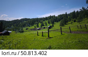 Коновязь на Алтае. Стоковое фото, фотограф Диана Землякова / Фотобанк Лори
