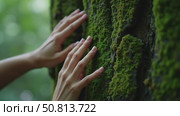 Cinematic close up of female fingers touch gently moss on tree bark. Tender and sensual connection to nature and environment. Conscious traveling and protection of rain forest. Стоковое AI-видео, аниматор Sergey Grishin / Фотобанк Лори