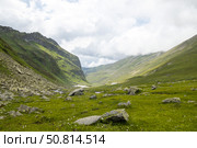 В долине горной реки. Стоковое фото, фотограф Игорь Дашко / Фотобанк Лори