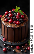 Chocolate dream: decadent cake with fresh berries & mint, tempting treat for dessert, design for confectionary shop, restaurant menu. Стоковое AI-изображение, AI-художник Данила Большаков / Фотобанк Лори