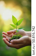 Sources for renewable, sustainable development. Environment and ecology concept.Hands protecting green plant on sunny background. Стоковое AI-видео, аниматор Sergey Grishin / Фотобанк Лори