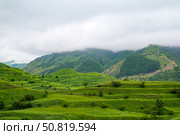 Старинные поля-терассы. Туман. Окрестности села Чох, Дагестан. Стоковое фото, фотограф Александр Тараканов / Фотобанк Лори