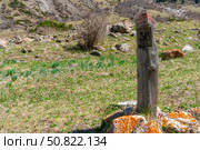 Ala-Archa Park, Wooden milestone, milepost trail post with number stands among green grass, scattered stones, marking trekking path in remote mountainous backcountry for outdoor adventure activities. Стоковое фото, фотограф Андрей Ка / Фотобанк Лори