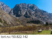 Ala-Archa Park, Towering mountain range with steep cliffs, rocky slopes, patches of snow, grassy valley, scattered shrubs, and evergreen trees under bright sunlight, ideal for hiking and exploration. Стоковое фото, фотограф Андрей Ка / Фотобанк Лори