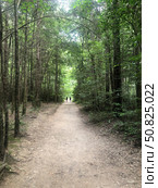 Catawba Falls trailhead, Asheville, North Carolina. Стоковое фото, фотограф Ryan Rossotto/Stocktrek Images / ТАСС / Фотобанк Лори