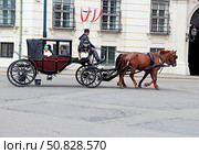 Поездка по улицам Вены Австрия (2015 год). Редакционное фото, фотограф Виктор Чепенко / Фотобанк Лори