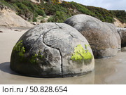 Moeraki Boulders, Koekohe Beach, New Zealand. Стоковое фото, фотограф Richard Roscoe/Stocktrek Images / ТАСС / Фотобанк Лори