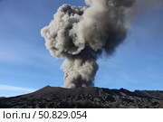 Eruption of ash cloud from Mount Bromo volcano, Tengger Caldera, Java, Indonesia (2011 год). Стоковое фото, фотограф Richard Roscoe/Stocktrek Images / ТАСС / Фотобанк Лори