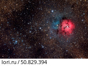 The Trifid Nebula Roth Ritter/Stocktrek Images. Стоковое фото, агентство ТАСС / Фотобанк Лори