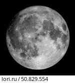 Full Moon Roth Ritter/Stocktrek Images. Стоковое фото, агентство ТАСС / Фотобанк Лори