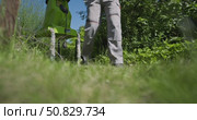 Man Working in Garden Using Electric Branch Shredder, Low Angle View, Summer Sunny Day, Eco Friendly Yard Cleanup, Recycling Garden Waste, Environmental Care, Green Foliage and Grass in Backyard. Стоковое видео, видеограф Сергей Тимофеев / Фотобанк Лори