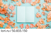 Autumnal Notion: Flat lay with open notebook surrounded by autumn leaves and small flowers on a light blue surface. Стоковое AI-изображение, AI-художник Данила Большаков / Фотобанк Лори