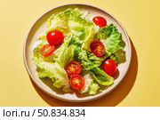 Vibrant salad from fresh lettuce and juicy cherry tomatoes in a ceramic bowl on a beige background. Tomato leafy greens salad with herbs and spices. Healthy food diet cuisine. Fresh nutrition plate. Стоковое AI-изображение, AI-художник Марина Демидюк / Фотобанк Лори