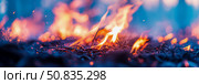 Burning brushwood and intense heat, depicting the uncontrolled power of nature. Стоковое AI-изображение, AI-художник Данила Большаков / Фотобанк Лори