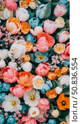 Colorful Spring Bloom: A Lush Tapestry of Multicolored Tulips and Blossoms. Perfect for wallpaper, greeting card, or seasonal celebration. Стоковое AI-изображение, AI-художник Данила Большаков / Фотобанк Лори