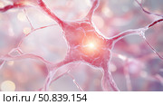 Detailed view of a neuron network showcasing neural connections. Стоковое AI-изображение, AI-художник Katsiaryna Repich / Фотобанк Лори