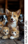 Animal Companions: A heartwarming Portrait of Corgi Puppy Guardian with kitten siblings, a tale of friendship & furry family. Стоковое AI-изображение, AI-художник Данила Большаков / Фотобанк Лори