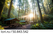 Redwood Cabin Retreat: Sun-Drenched Glade Lodges in a Majestic Forest. Стоковое AI-изображение, AI-художник Данила Большаков / Фотобанк Лори