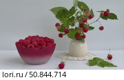 Video of beautiful summer still life with raspberries in a bowl and a bouquet of raspberry branches with ripe berries on a white background. Growing organic garden berries. Vitamins seasonal fruits. Стоковое видео, видеограф Виктория Катьянова / Фотобанк Лори