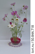 Vertical video of summer bouquet of fresh delicate pink cosmos flowers (Lat. Cosmos bipinnatus) on kenzan holder in bowl on handmade crochet lace doily on white background. Стоковое видео, видеограф Виктория Катьянова / Фотобанк Лори