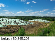 Силосный курган, прикрытый пленкой и покрышками. Силос. Заготовка кормов. Заготовка силоса для кормления сельскохозяйственных животных. Консервирование зеленой массы растений. Хранение кормов. Сельское хозяйство. Кормозаготовка. Растениеводство. Агрономия. Технология кормления сельскохозяйственных животных. Стоковое фото, фотограф Зинаида Никитенко / Фотобанк Лори