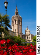 The Valencia Cathedral church building and Placa Reina with flowers (2019 год). Стоковое фото, фотограф Яков Филимонов / Фотобанк Лори